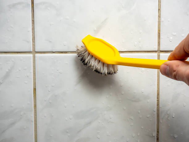 Best Mold Testing and Inspection Services in Glyndon, MN