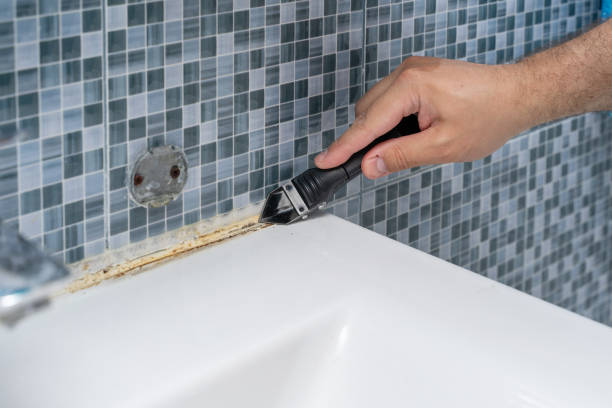 Best Insurance-Related Mold Remediation in Glyndon, MN