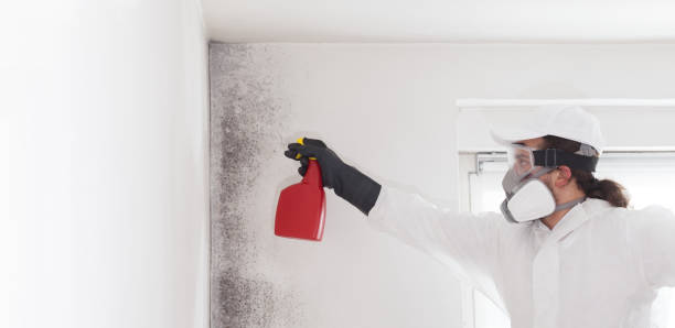 Best Industrial Mold Remediation in Glyndon, MN