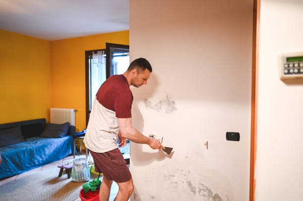 Best Post-Remediation Services in Glyndon, MN